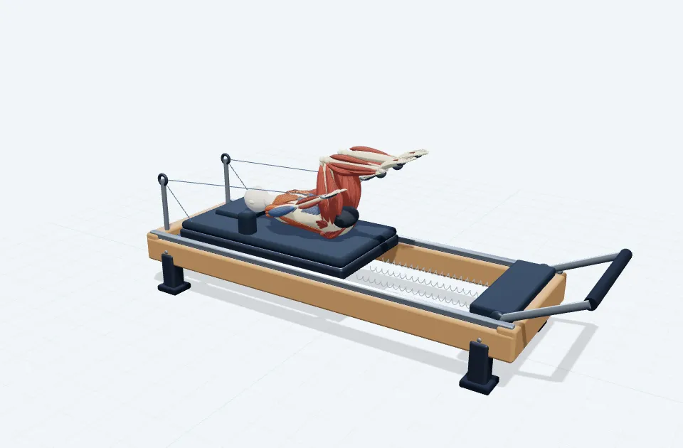 A schematic 3D view of Supine Arm Circles