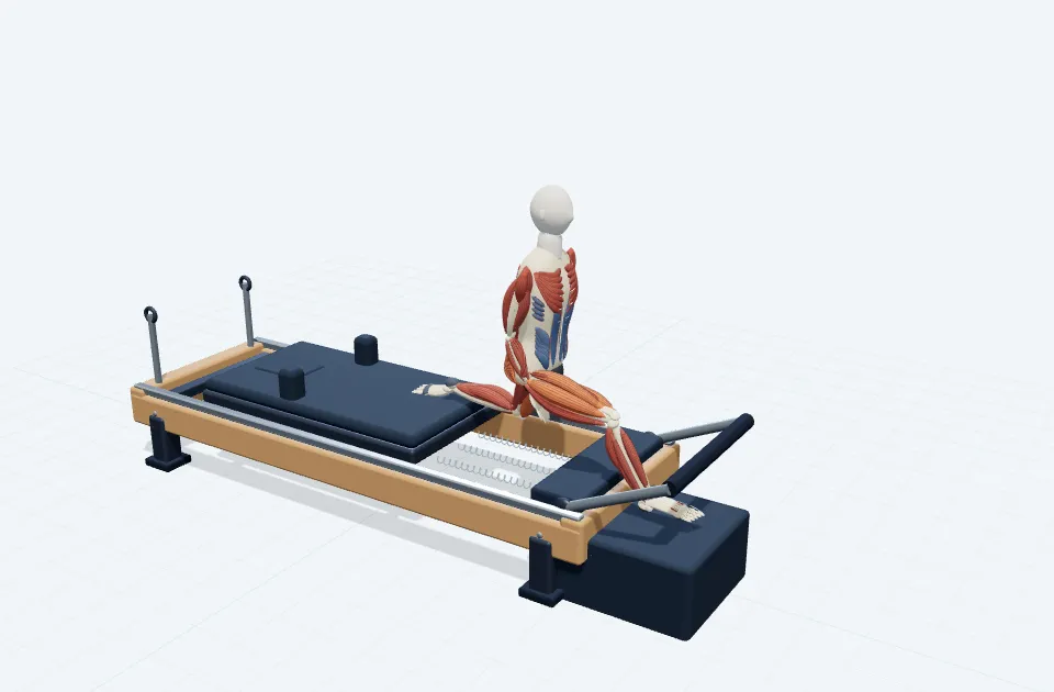A schematic 3D view of Backward Lunge