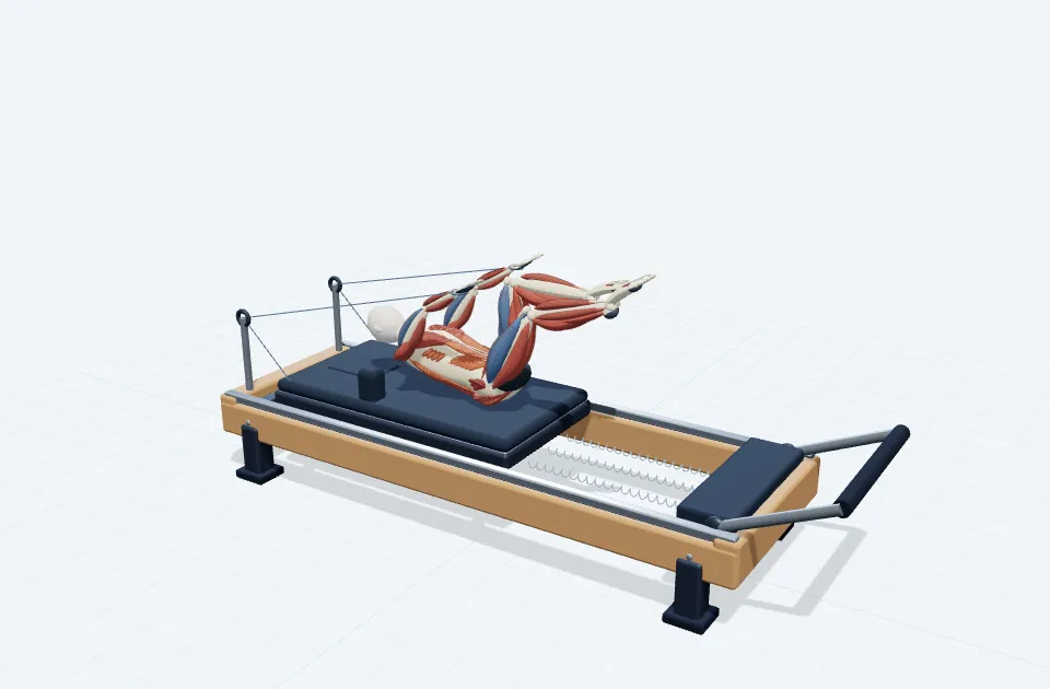 A schematic 3D view of Curl Up · Single Leg Stretch