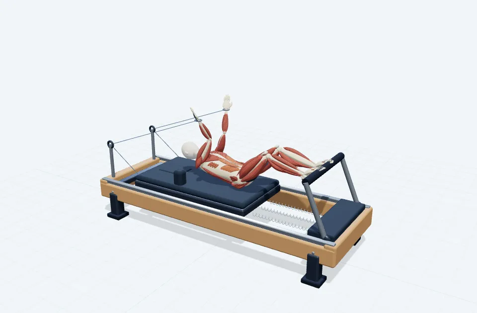 A schematic 3D view of Curl Up