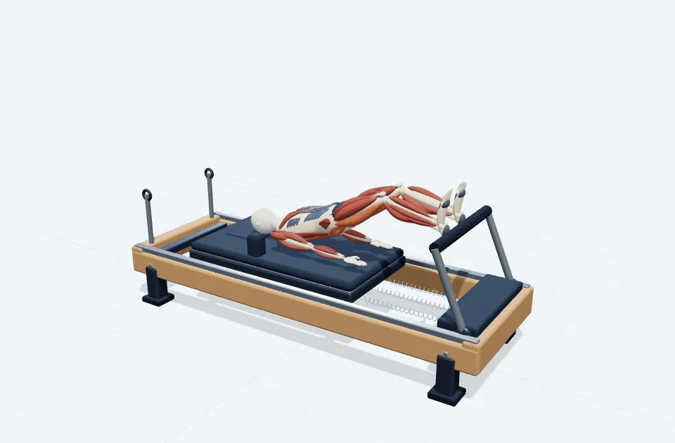 A schematic 3D view of Eccentric Hip Lift