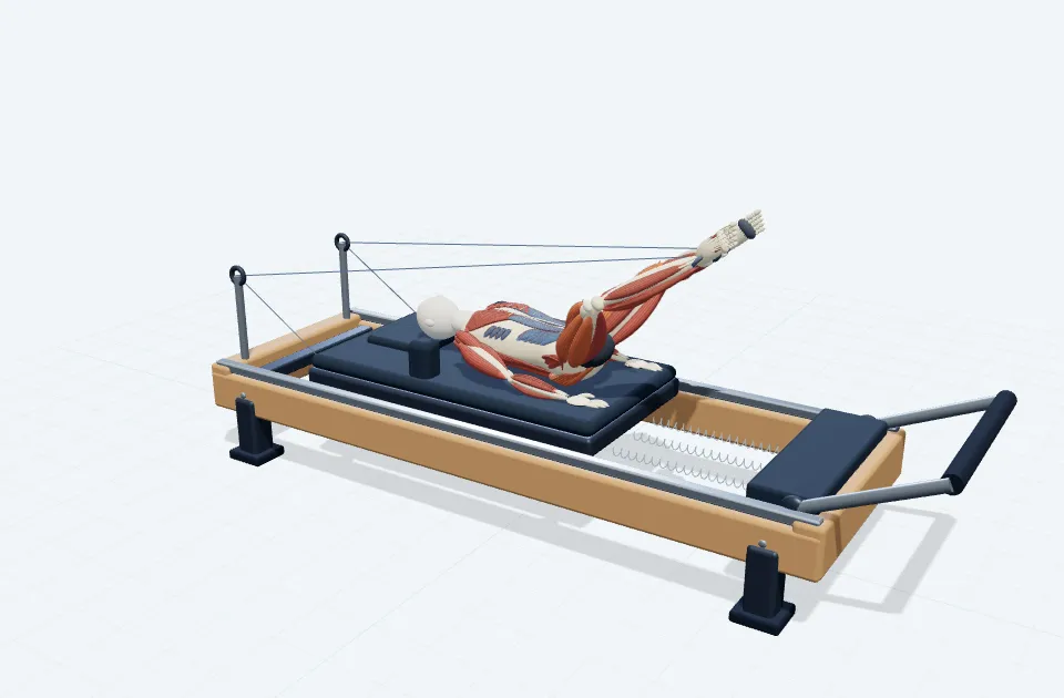 A schematic 3D view of Frog