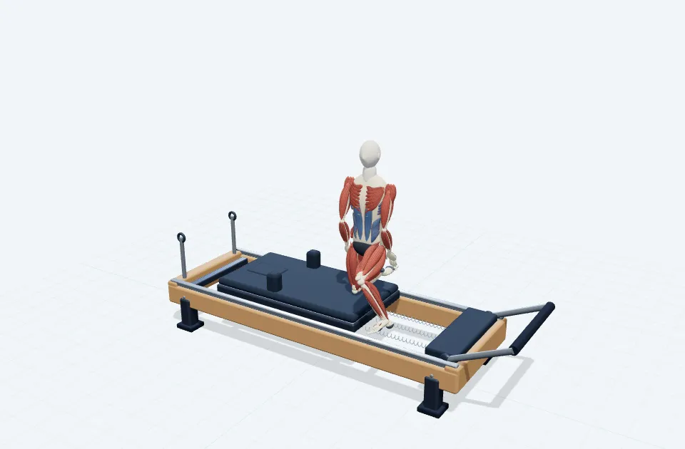 A schematic 3D view of Hip Adduction