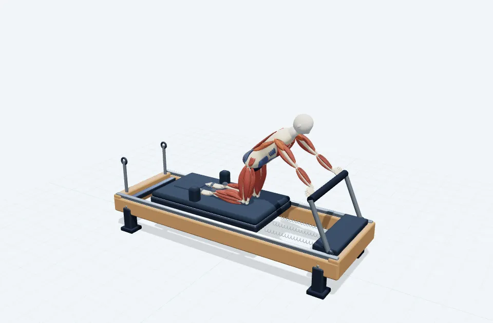 A schematic 3D view of Hip & Shoulder Movement