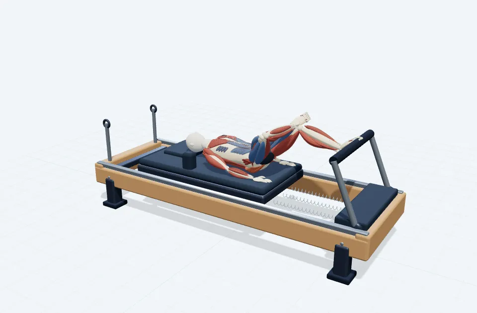 A schematic 3D view of Hip Stretch