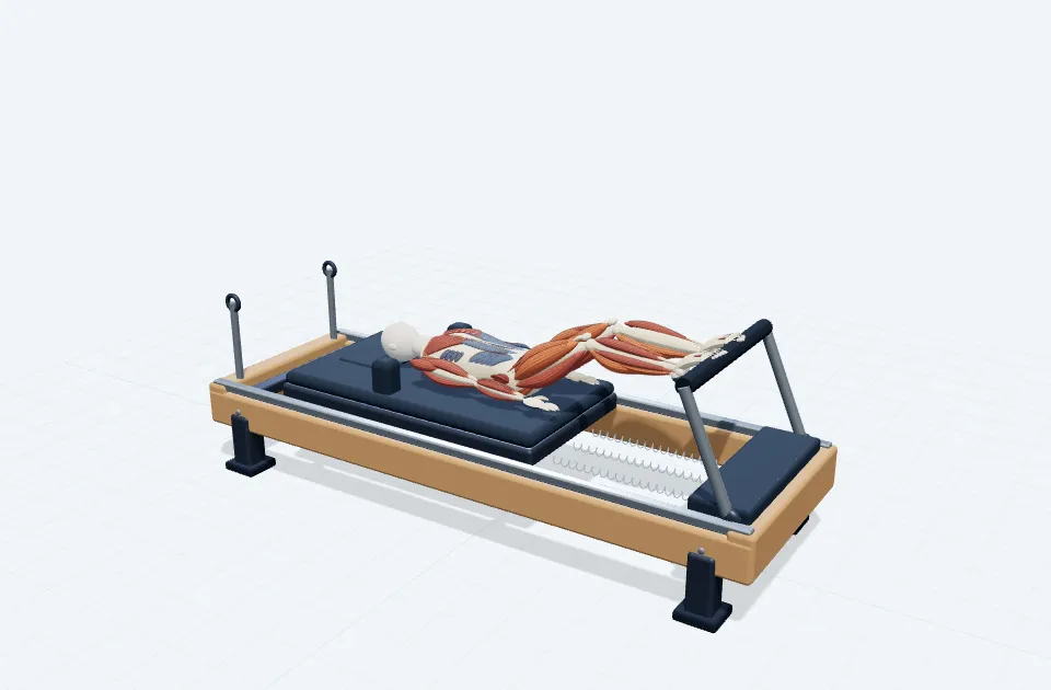 A schematic 3D view of Reformer Jump