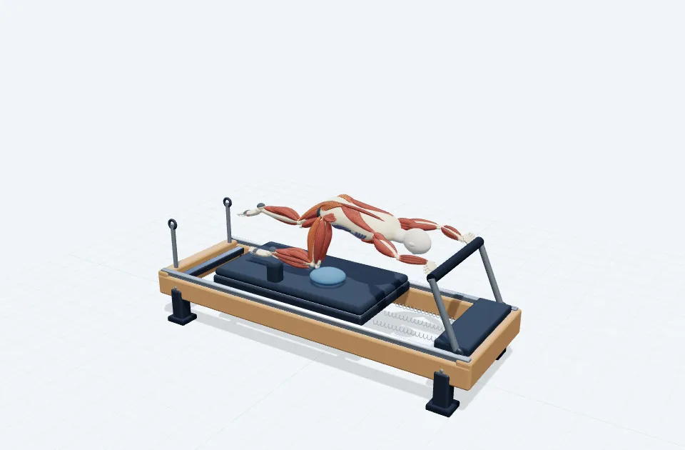 A schematic 3D view of Kneeling Single Leg Deadlift