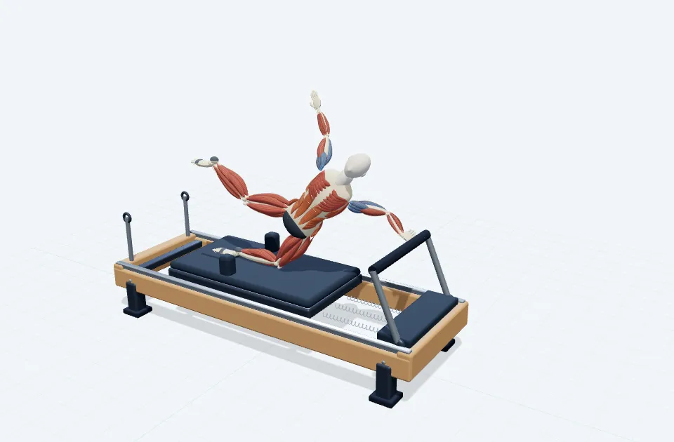 A schematic 3D view of Kneeling Side Plank