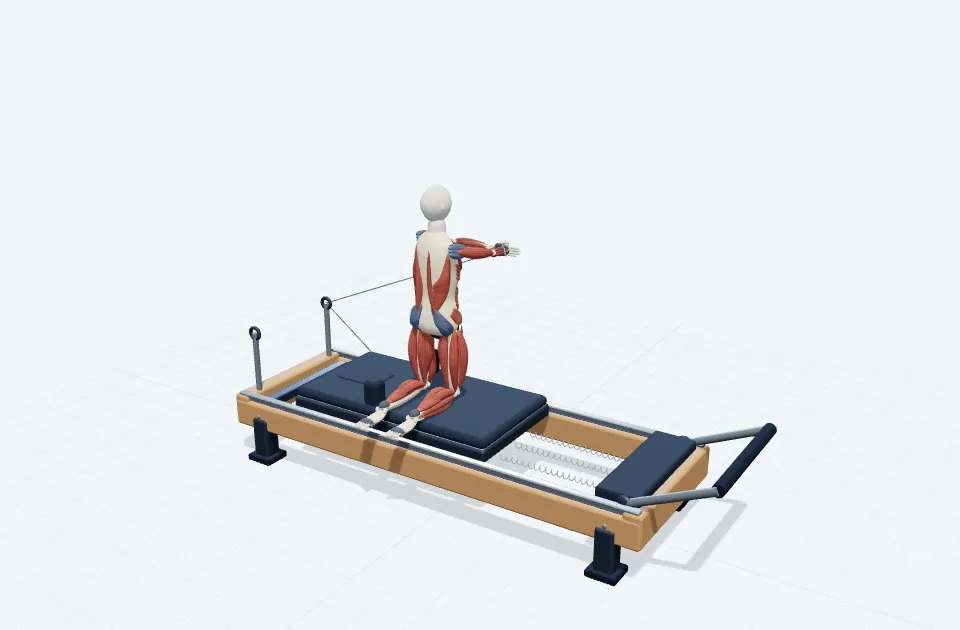 A schematic 3D view of Tall Kneeling Twist