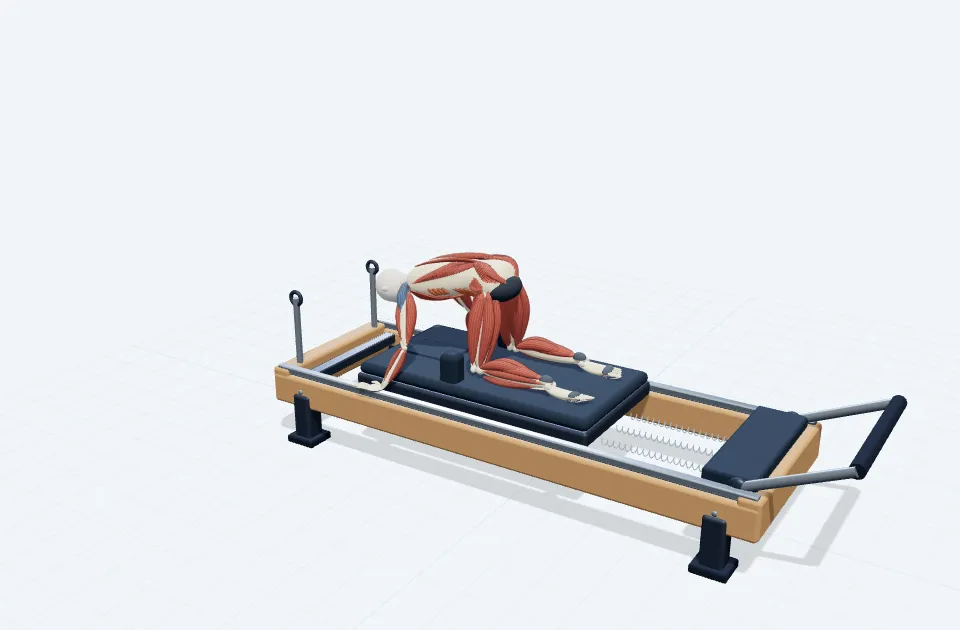 A schematic 3D view of Lateral Resistance Cat