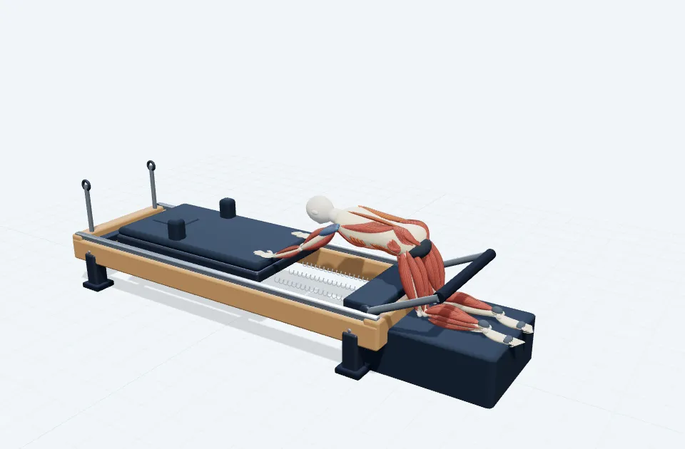 A schematic 3D view of Cat Back · Long Box
