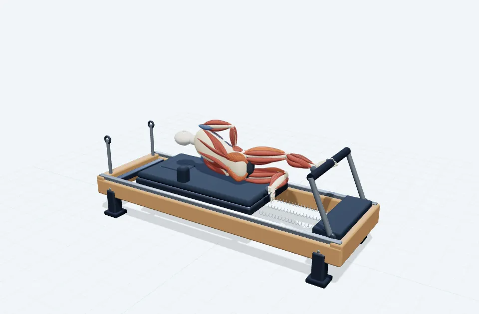 A schematic 3D view of Low Oblique Leg Press