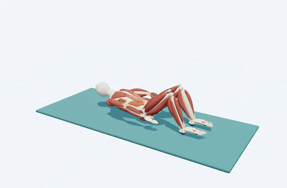 チェストリフトの動作の一場面を示す3D模式図