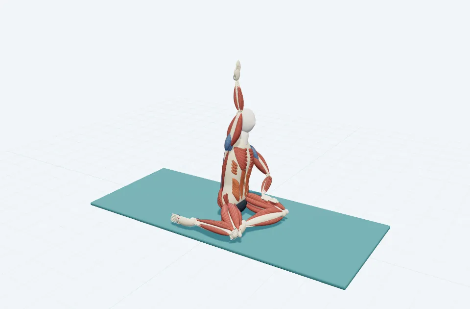 マーメイドの動作の一場面を示す3D模式図