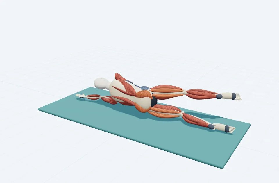 サイドキック〈前後〉の動作の一場面を示す3D模式図