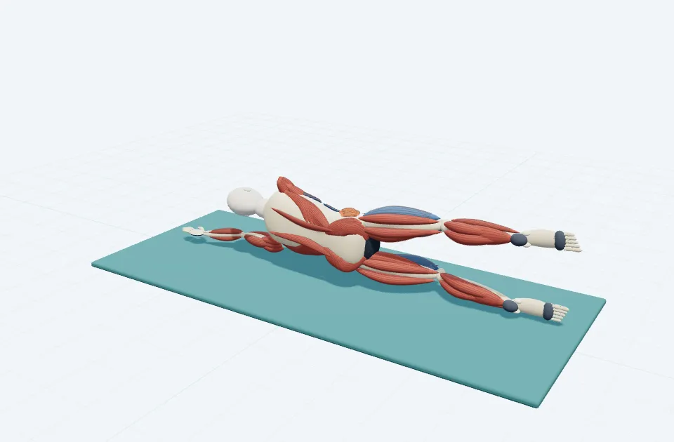 サイドレッグリフトの動作の一場面を示す3D模式図