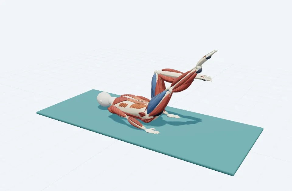シングルレッグストレッチの動作の一場面を示す3D模式図