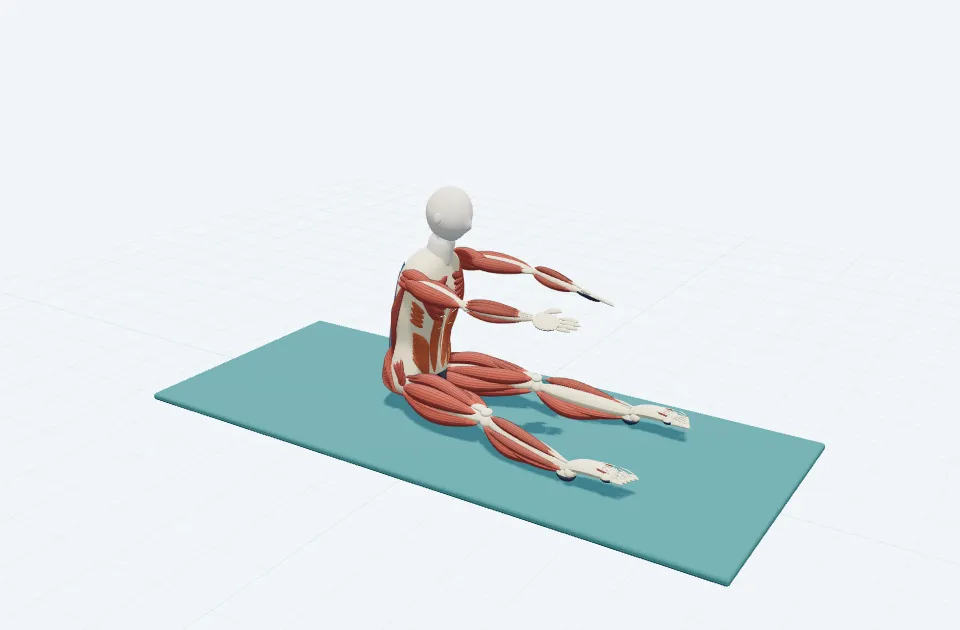 スパインストレッチの動作の一場面を示す3D模式図