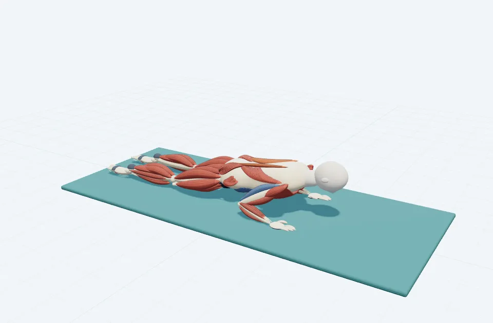 スワン・プレップの動作の一場面を示す3D模式図
