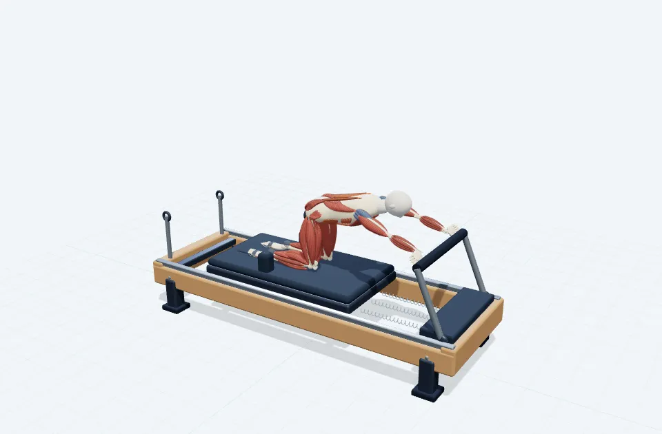 A schematic 3D view of Moving Cat Back