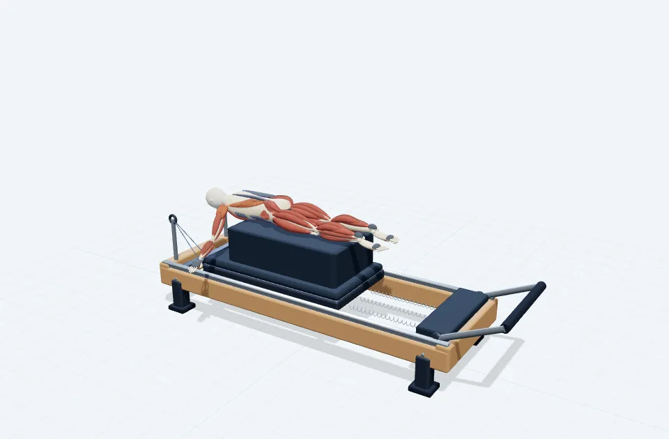 A schematic 3D view of Prone Pull & Arm Circle