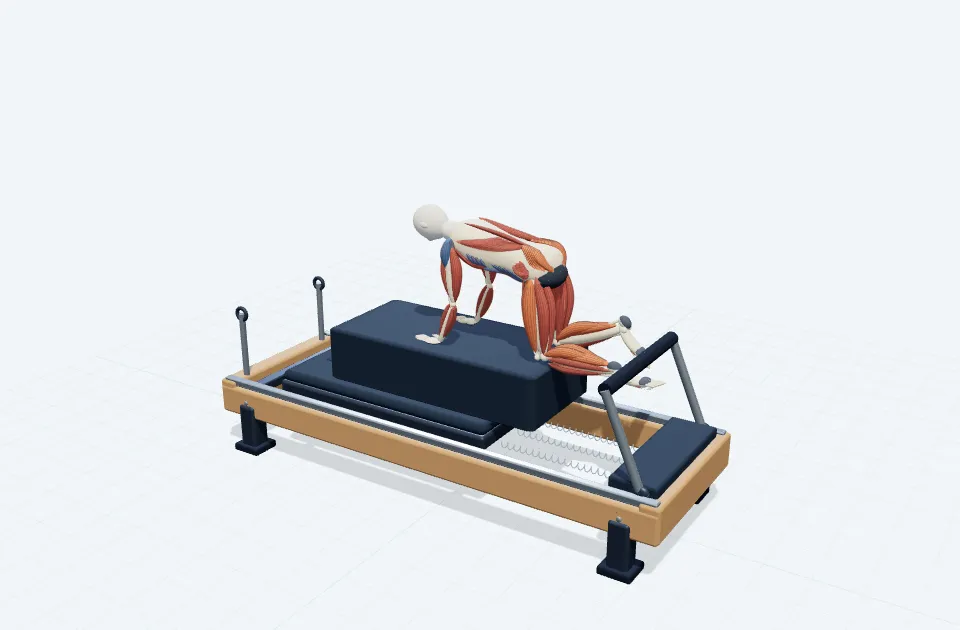A schematic 3D view of Quadruped Jump