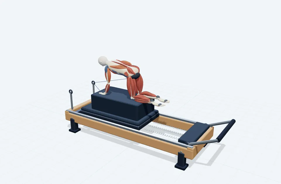 A schematic 3D view of Quadruped Pull & Extension