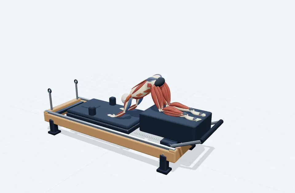 A schematic 3D view of Quadruped Trunk Resist