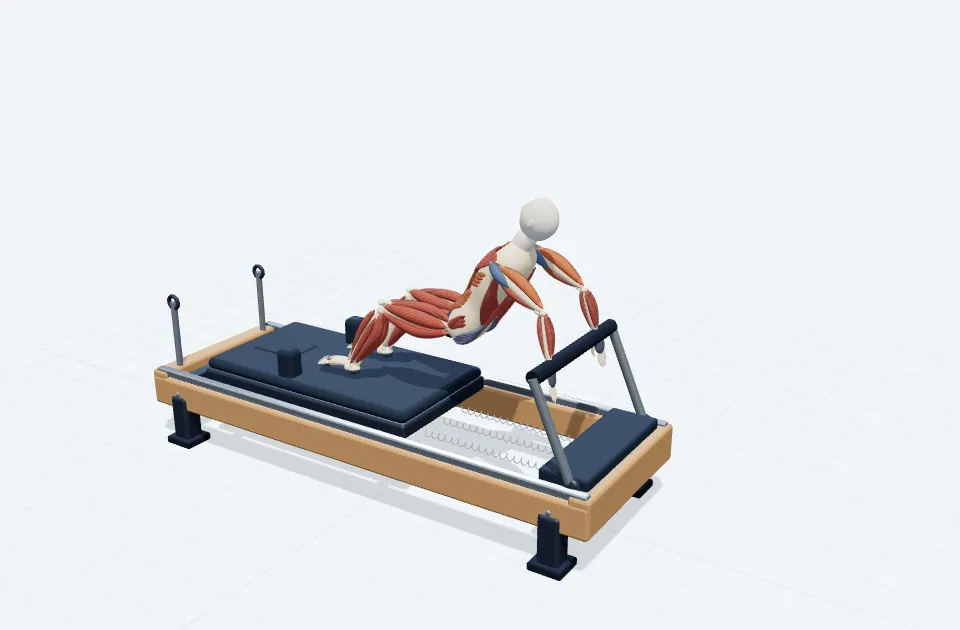 A schematic 3D view of Reverse Plank & Flexion