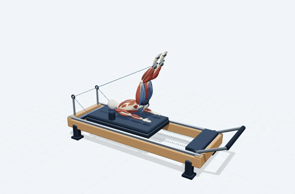 A schematic 3D view of Roll Over