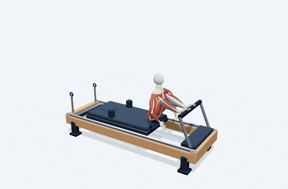 A schematic 3D view of Round Back