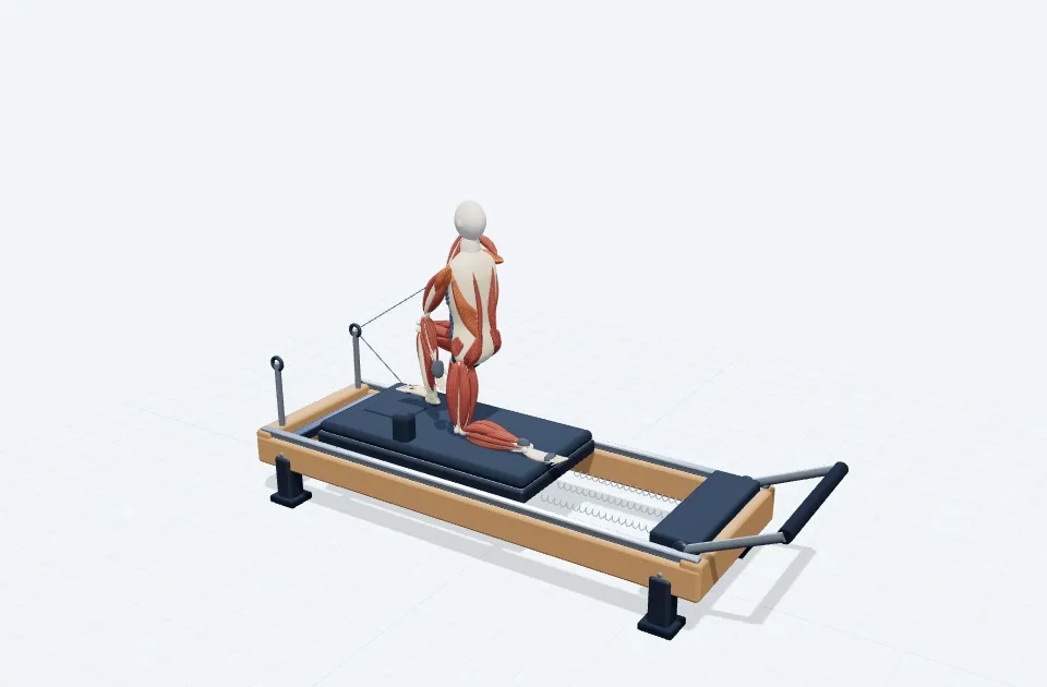 A schematic 3D view of Rowing & Twist