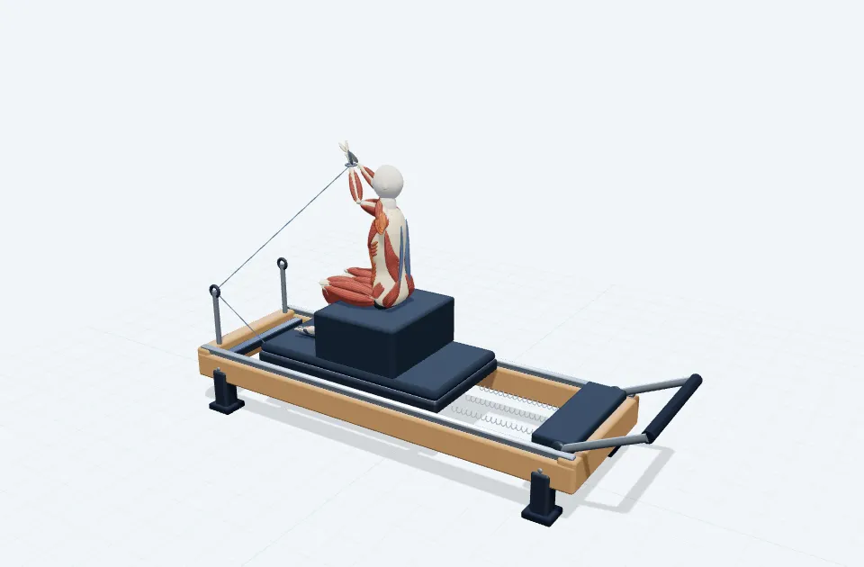 A schematic 3D view of Seated Twist Reach