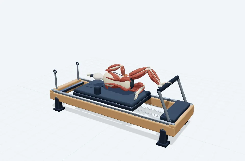 A schematic 3D view of Side Lying Clamshell