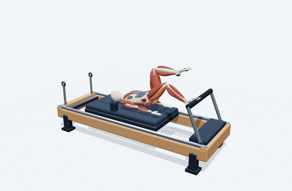 A schematic 3D view of Single Leg Hip Lift