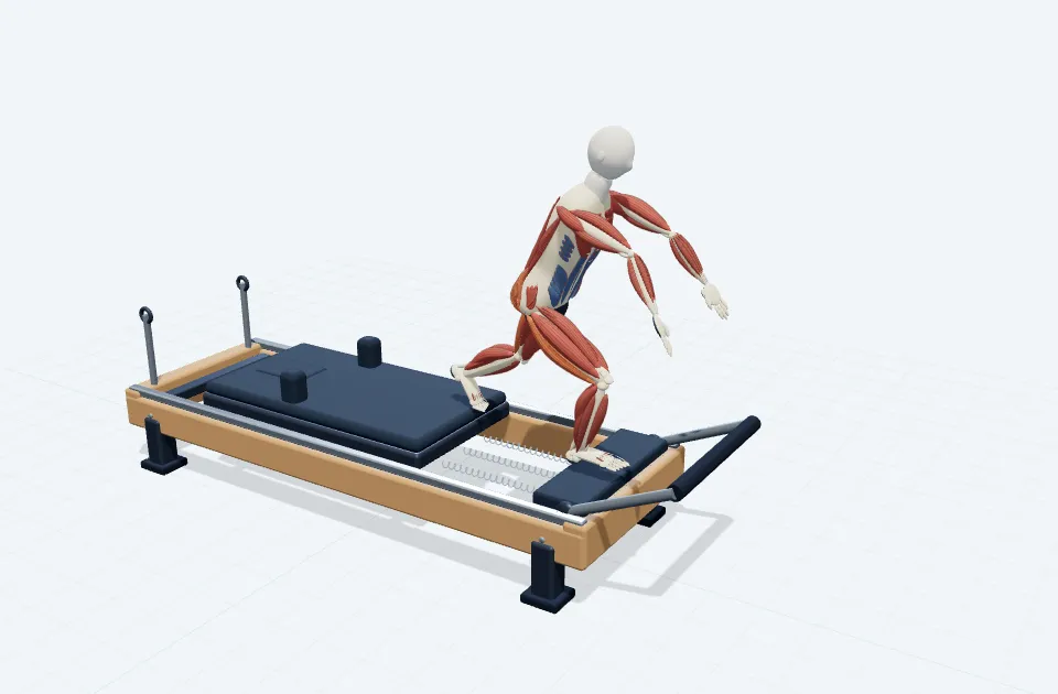 A schematic 3D view of Single Leg Deadlift