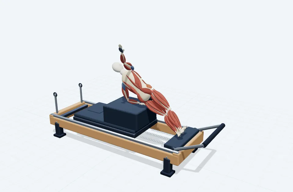 A schematic 3D view of Standing Side Plank