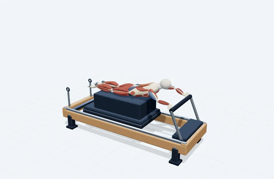 A schematic 3D view of Swan on Long Box