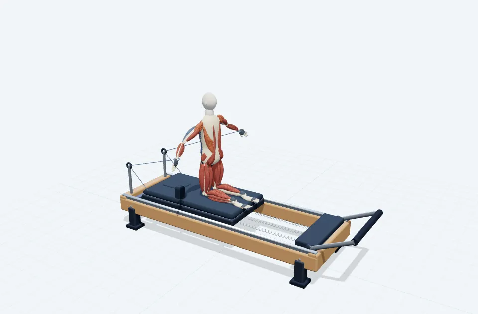 A schematic 3D view of Tall Kneeling Shoulder Circle