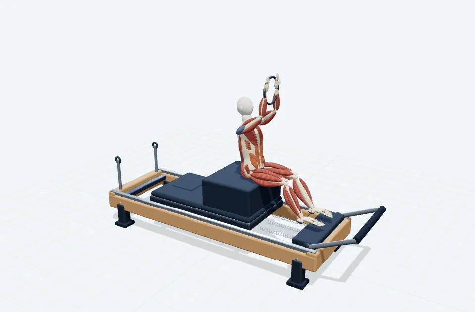 A schematic 3D view of Trunk Movement