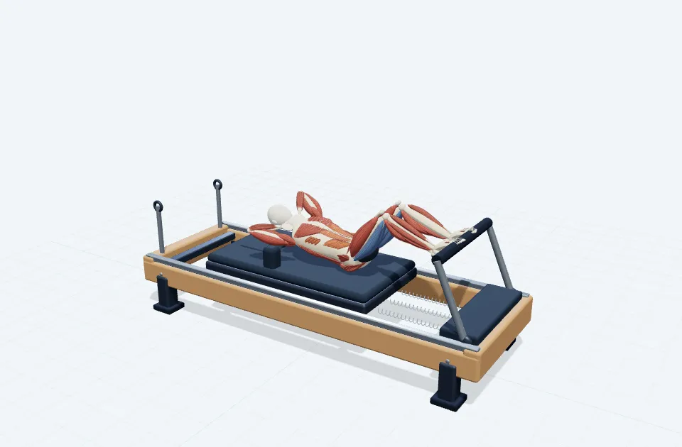 A schematic 3D view of Twist Curl Up
