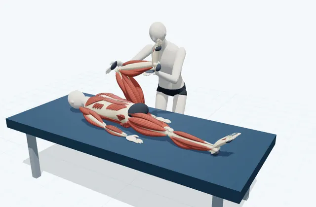 A schematic 3D view of Assisted Knee-to-Chest