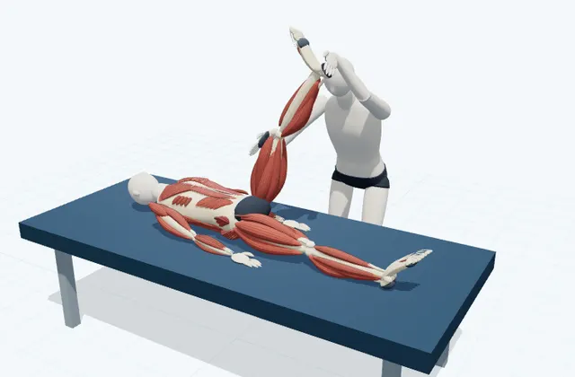 A schematic 3D view of Supported Knee Extension