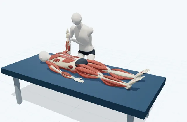 A schematic 3D view of Supported Shoulder Abduction