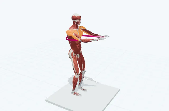 胸の前へ押し出すの3D模式図