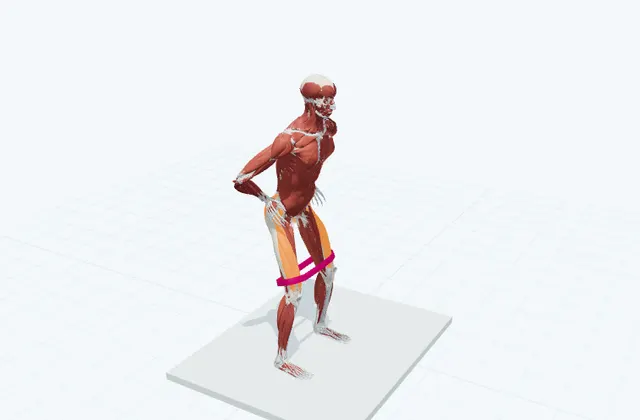 横歩きの3D模式図