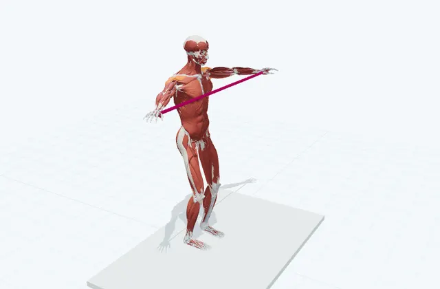 バンドを左右に広げるの動作の一場面を示す3D模式図