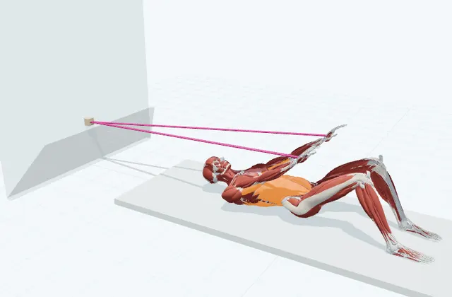 仰向けで両腕を下ろすの3D模式図