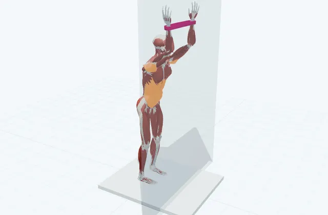 壁に腕を滑らせるの3D模式図