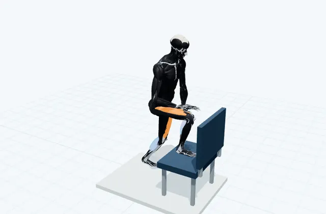 台に足をのせて膝を前へ出すの3D模式図